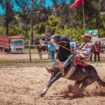 El Rodeo: Un Deporte Popular en Chile